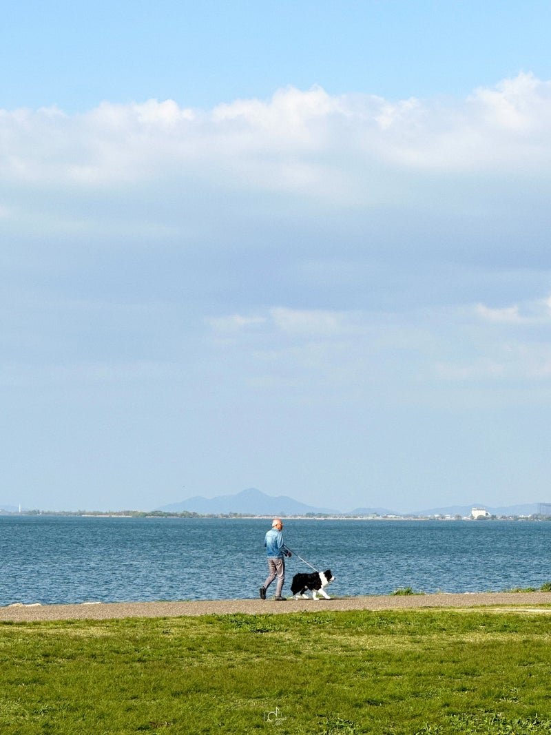 🏞️ 오쓰 호숫가 나기사 공원(오쓰코간 나기사 코엔) 이미지 1